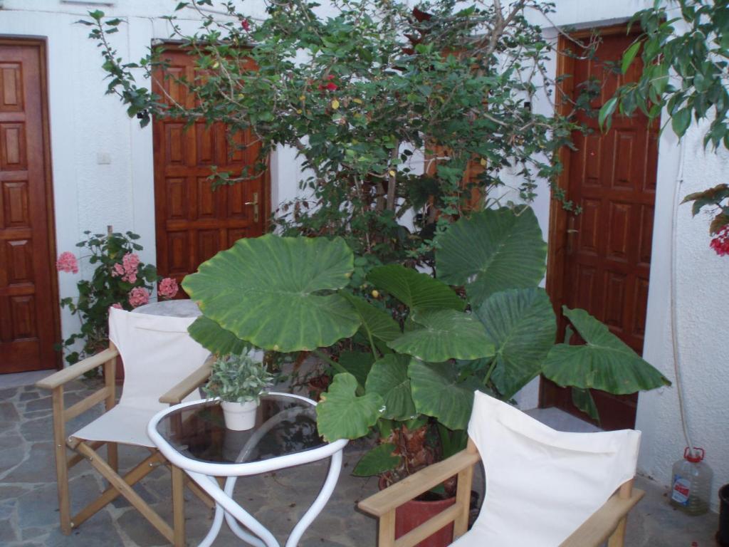 Pantazis Studios Aegina Szoba fotó