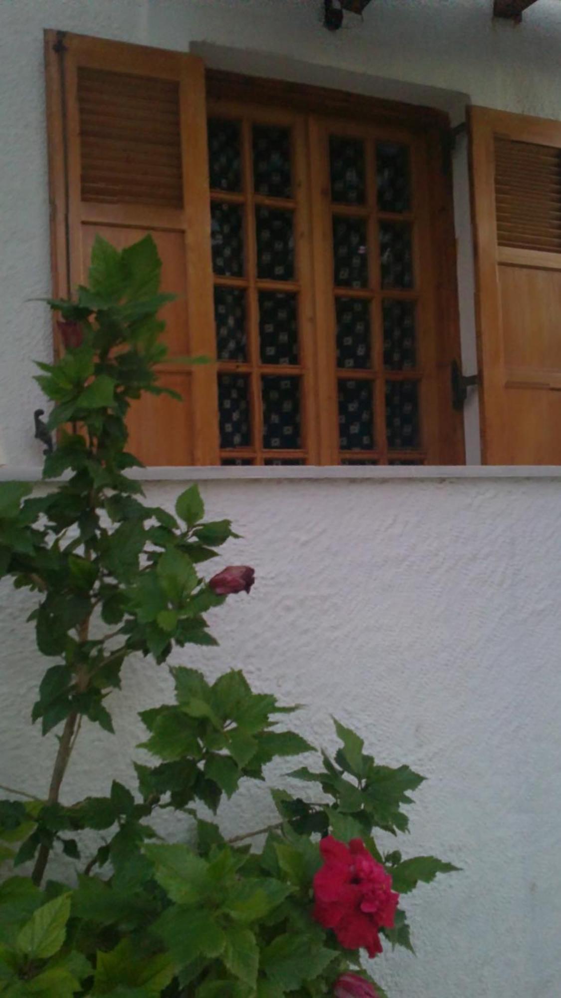 Pantazis Studios Aegina Kültér fotó