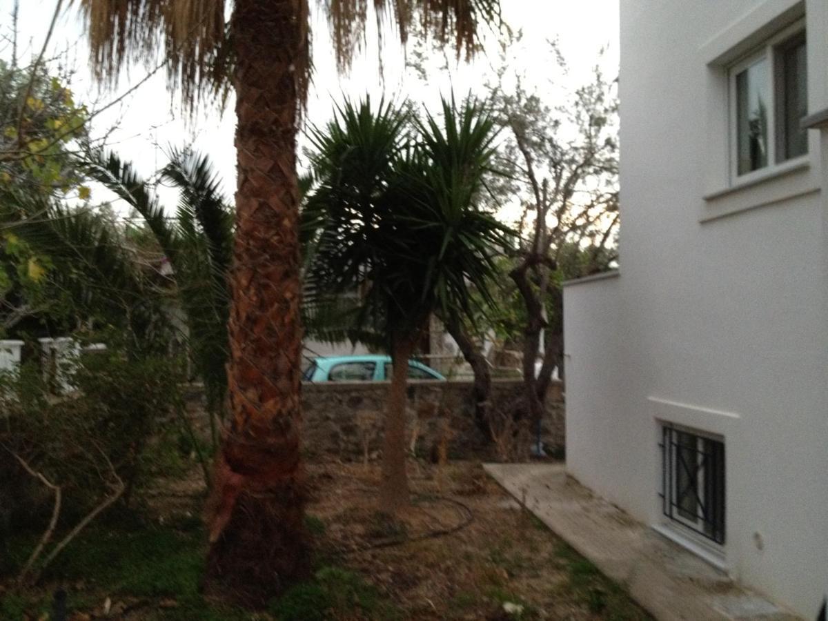 Pantazis Studios Aegina Szoba fotó